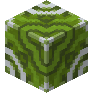 Entry icon